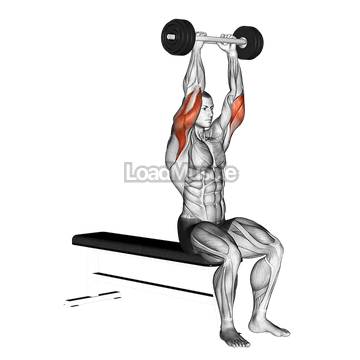 Olympic Barbell Triceps Extension