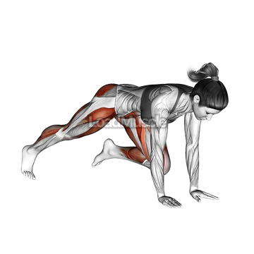 Push up (knee chest)