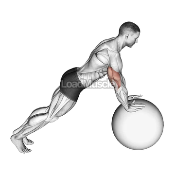Push up (on stability ball)