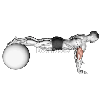 Decline Push up (on stability ball) m