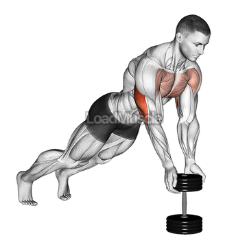 Push Up Close grip off Dumbbell