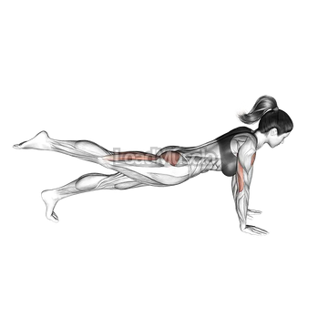 Raise Single Leg Push up