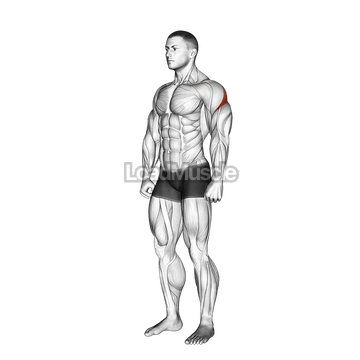 Rear Deltoid Stretch