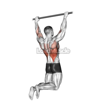 Rear Pull up