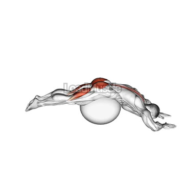 Reverse Hyper extension (on stability ball)