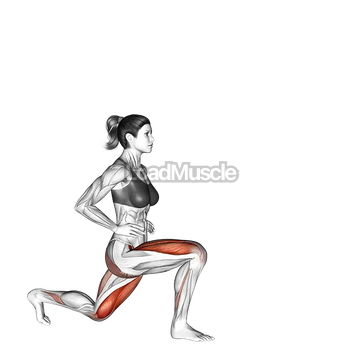 Reverse Lunge (leg kick)