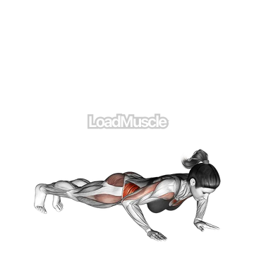 Rotate Push up (on knees)