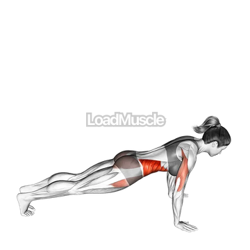 Rotate Push up