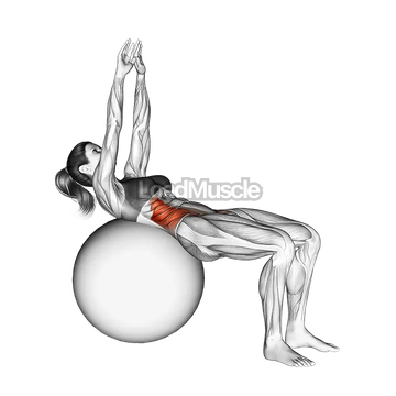 Russian Twist (on stability ball arms straight)