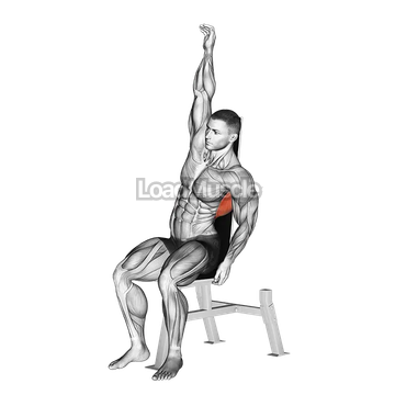 Seated Lower Back Stretch