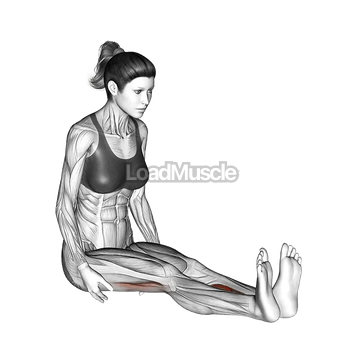 Seated Straight Leg Calf Stretch