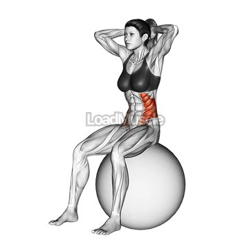 Seated Twist (on stability ball)