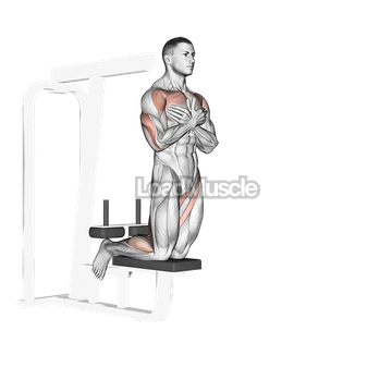 Self assisted Inverse Leg Curl