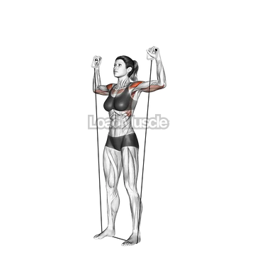 Shoulder Press (with band)