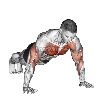 Shoulder Tap Push up
