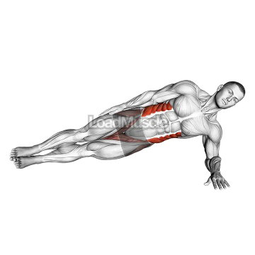 Side Plank