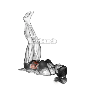 Sideways Lifts Vertical (straight legs)