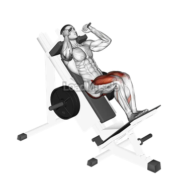 Sled Closer Hack Squat