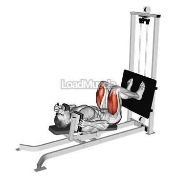 Sled Lying Squat