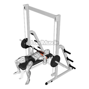 Smith Bench Press