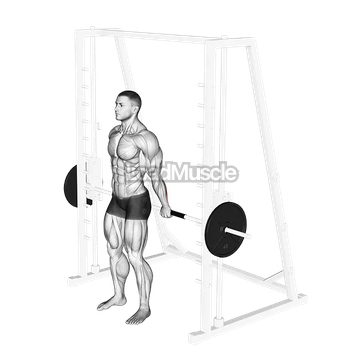 Smith Standing Back Wrist Curl