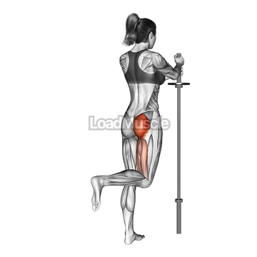 Standing Hip Extension (bent knee)
