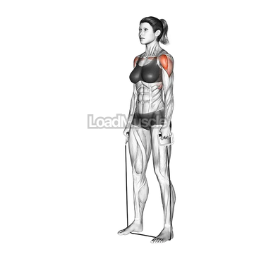 Standing Lateral Raise (with band)