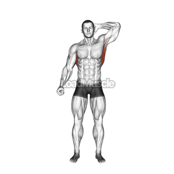 Standing Lateral Stretch