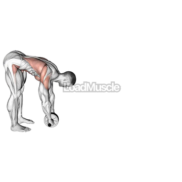 Standing Wheel Rollout