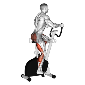 Stationary Bike Walk