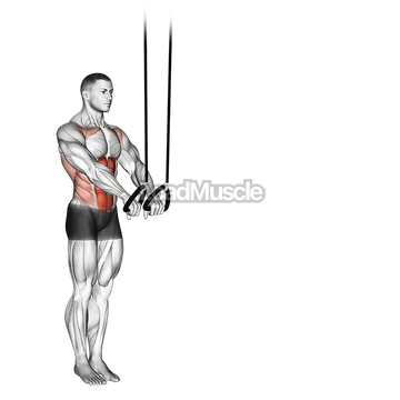 Suspended Abdominal Fallout