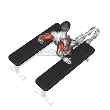 Triceps Dip (between benches)