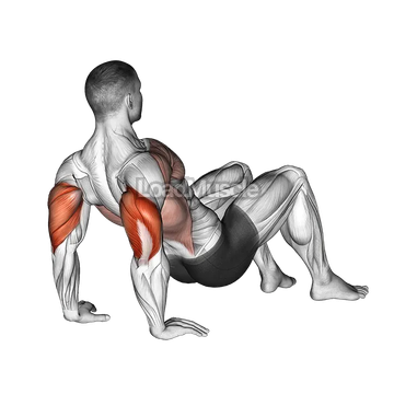 Triceps Dips Floor