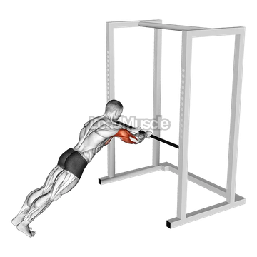 Triceps Press
