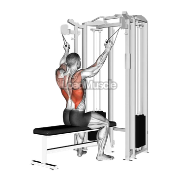 twin handle parallel grip lat pulldown