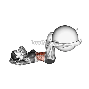 Weighted Crunch (bent knee)