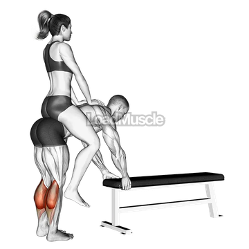 Weighted Donkey Calf Raise