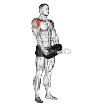 Weighted Front Raise