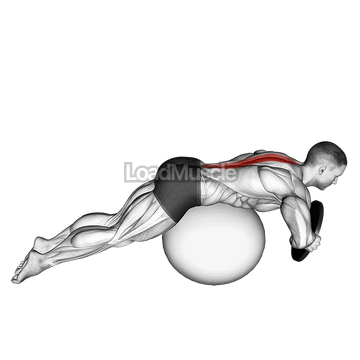 Weighted Hyperextension (on stability ball)