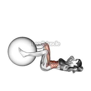 Weighted Leg Extension Crunch