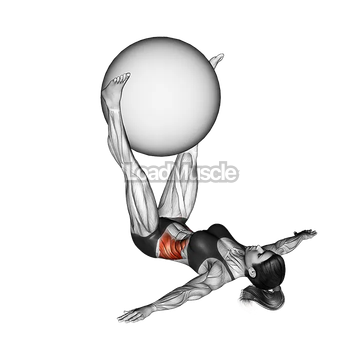 Weighted Lying Twist