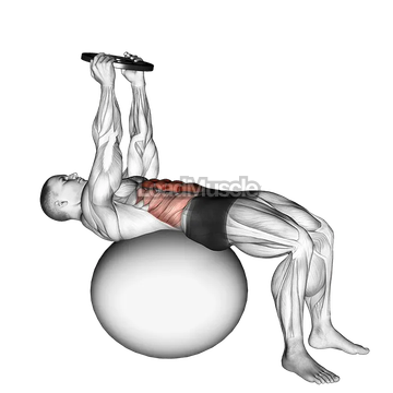 Weighted Overhead Crunch (on stability ball)