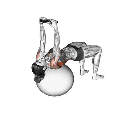 Weighted Pullover (on stability ball)