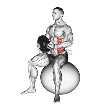 Weighted Seated Twist (on stability ball)