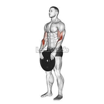 Weighted Standing Curl