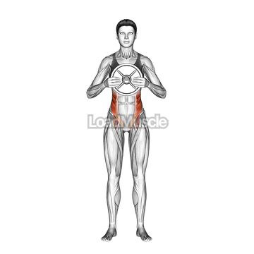 Weighted Standing Twist