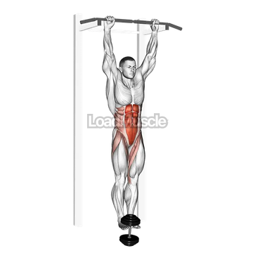 Weighted Hanging leg hip raise