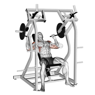 Lever Shoulder Press (plate loaded)