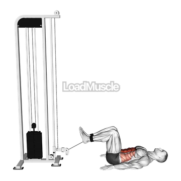 Cable Reverse Crunch