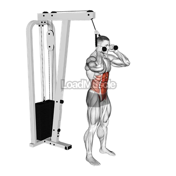 Cable Standing Crunch (with rope attachment)